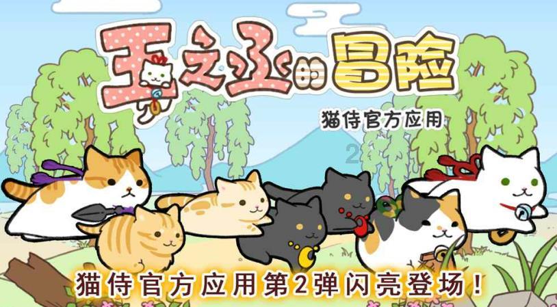 探寻我为郴州写一首诗怎么写?-尽享知识星球平台的独特魅力
